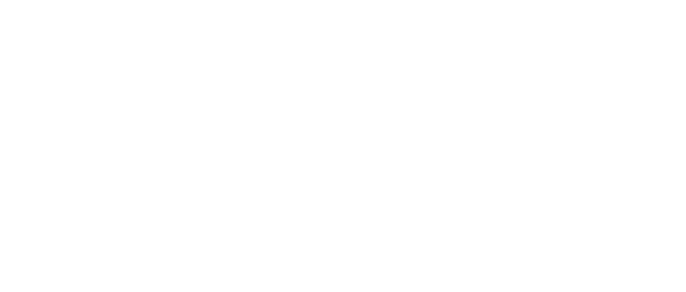 Safari