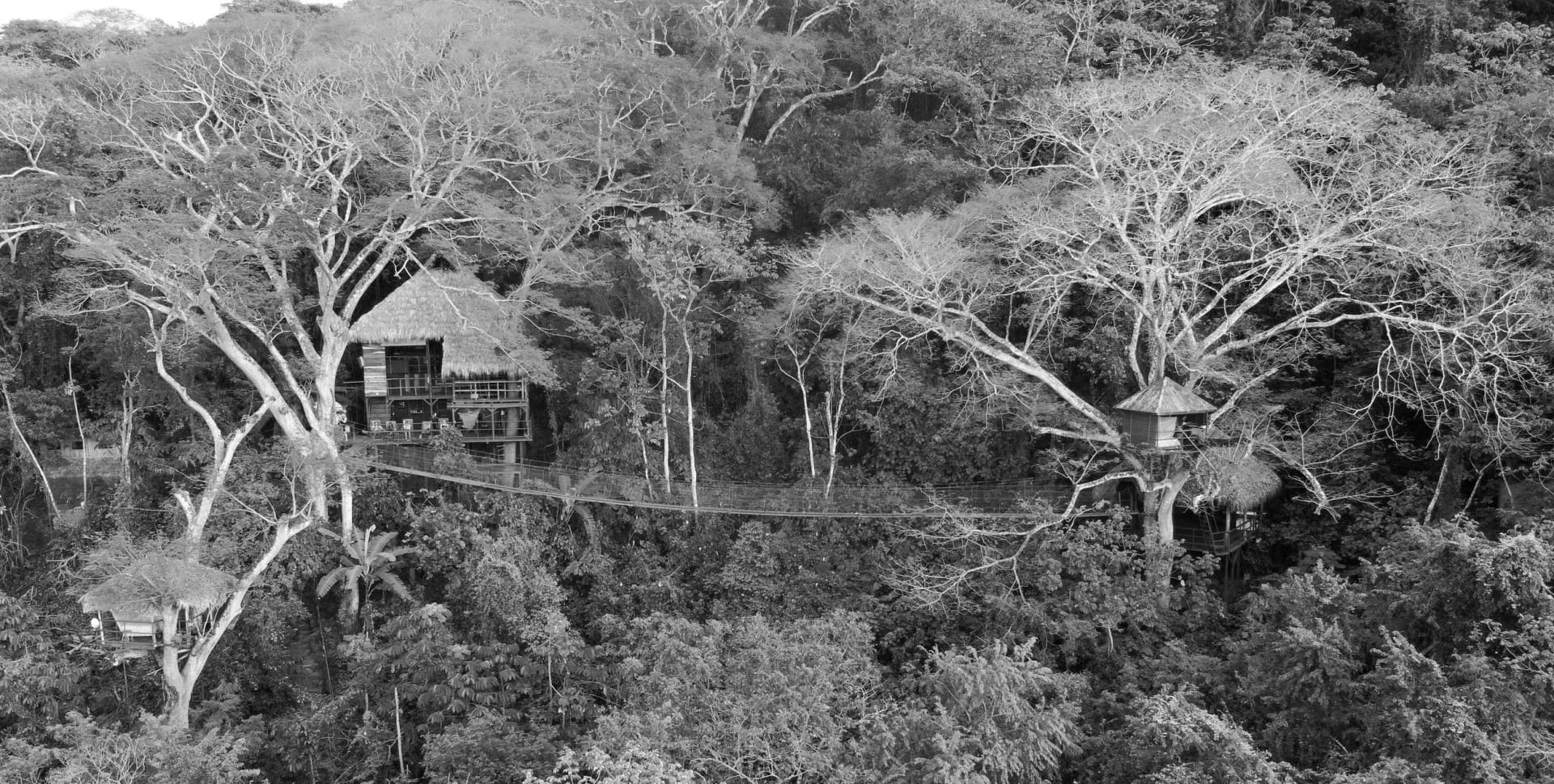 Treehouse Nicaragua