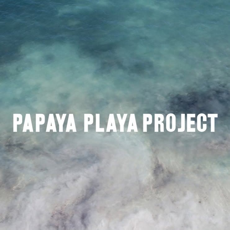 Logotipo de Papaya Playa Project