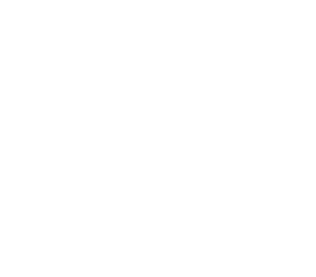 FITZ Madrid