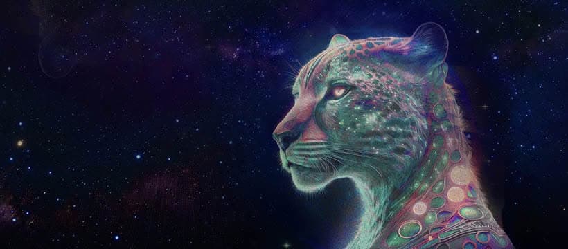 Portada de Basement Jaxx