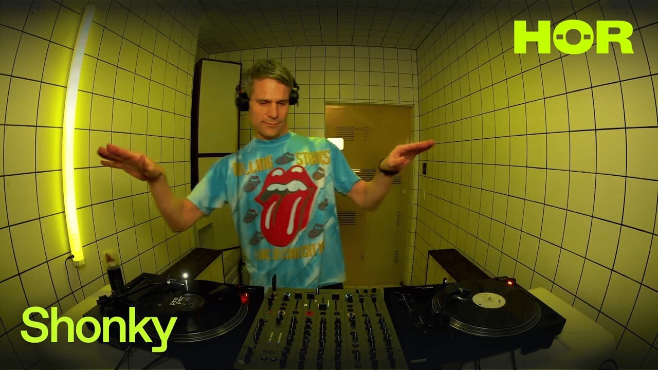 Cover of Shonky