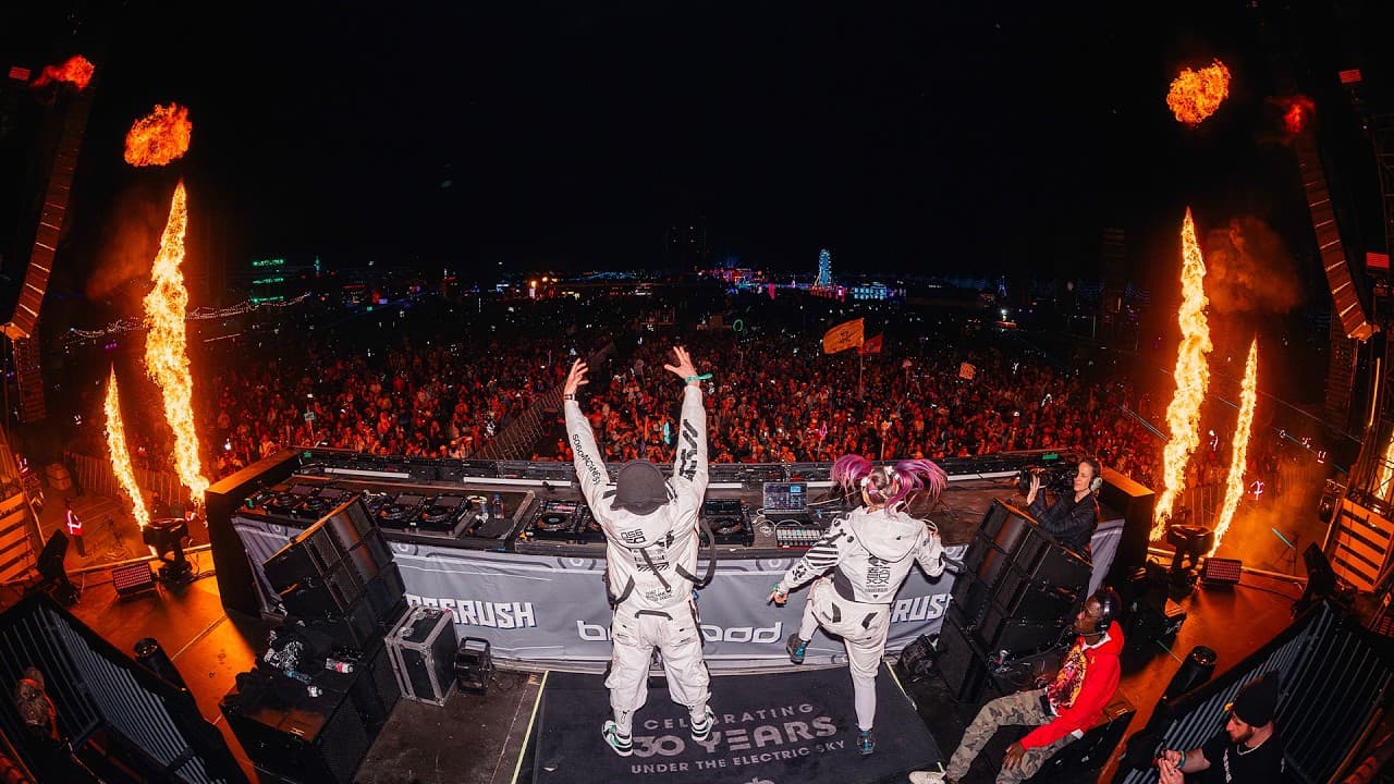 Cover of Virtual Riot