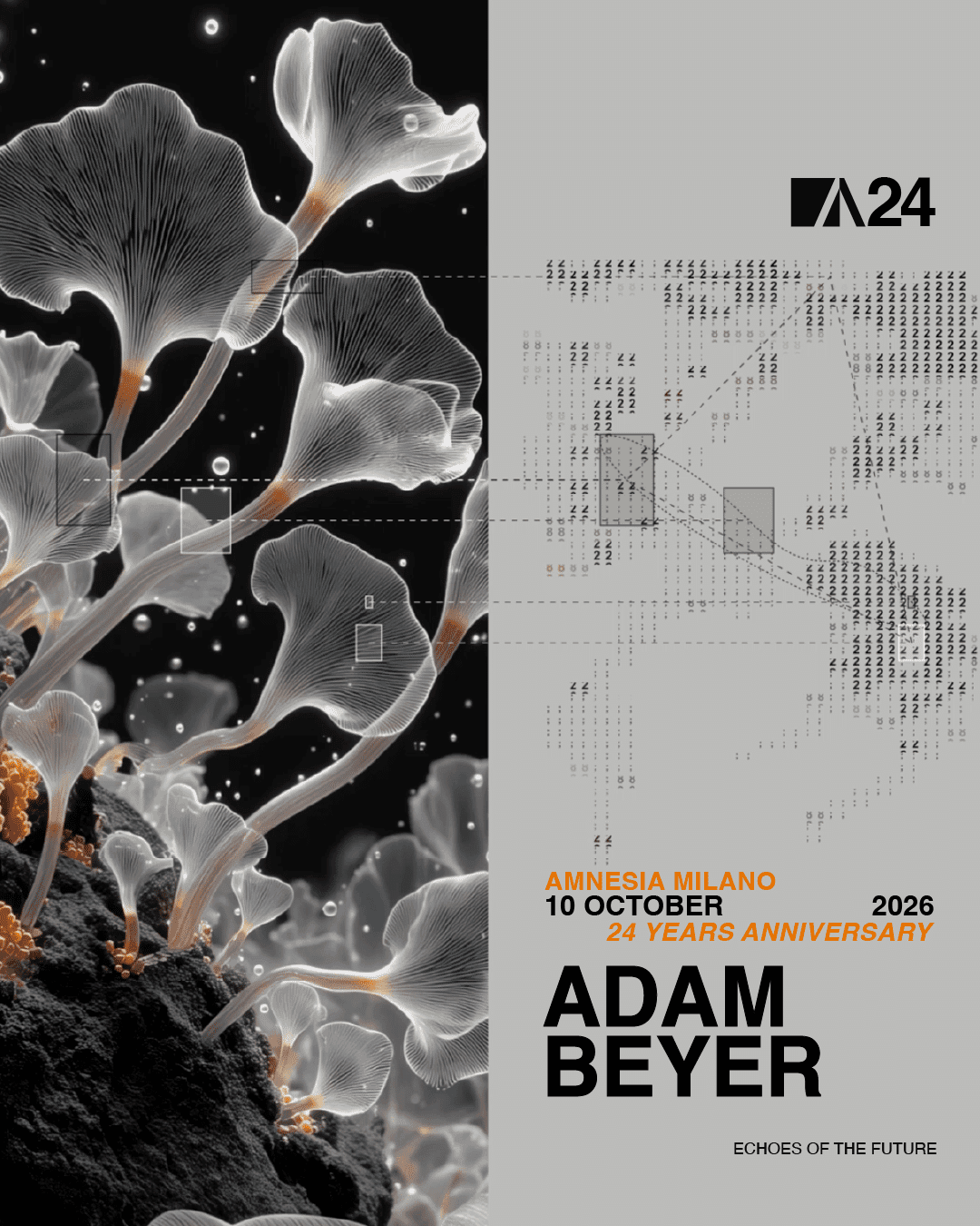 Amnesia Milano 24 Years Anniversary w/ ADAM BEYER