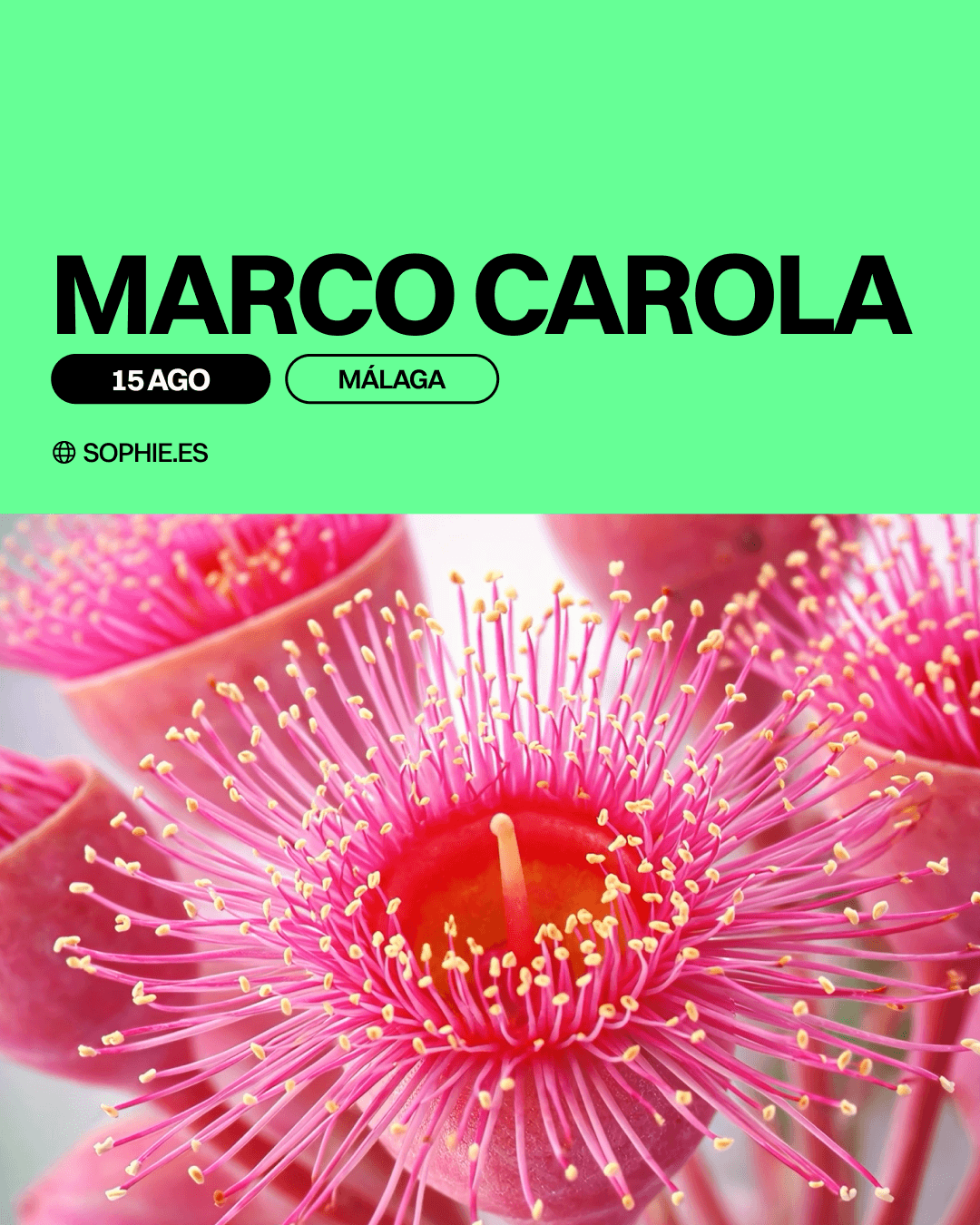 Sophie CH#5 – Marco Carola, Silvie Loto, Nicolas Lutz & more