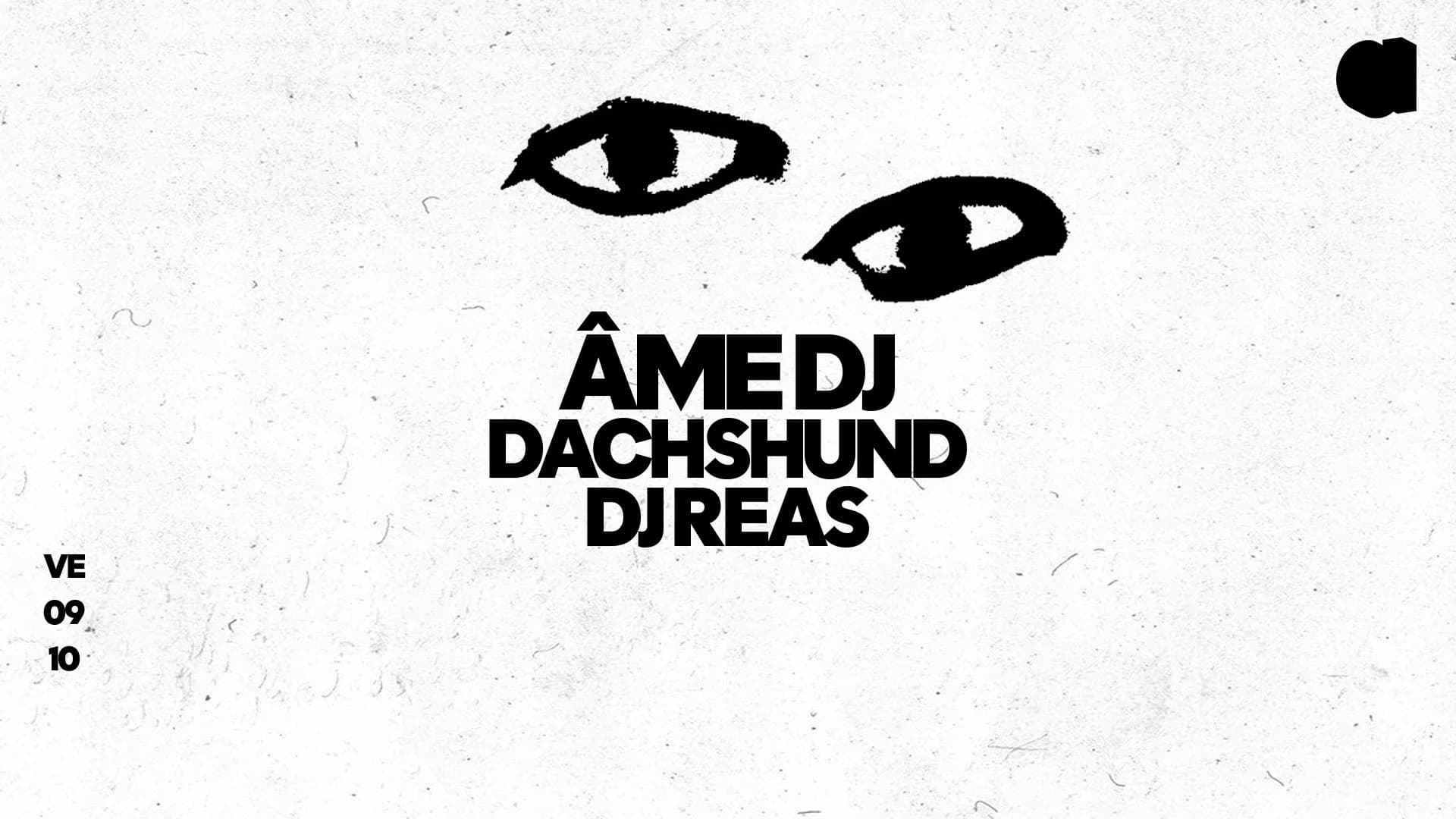 Âme DJ · Dachshund · DJ Reas