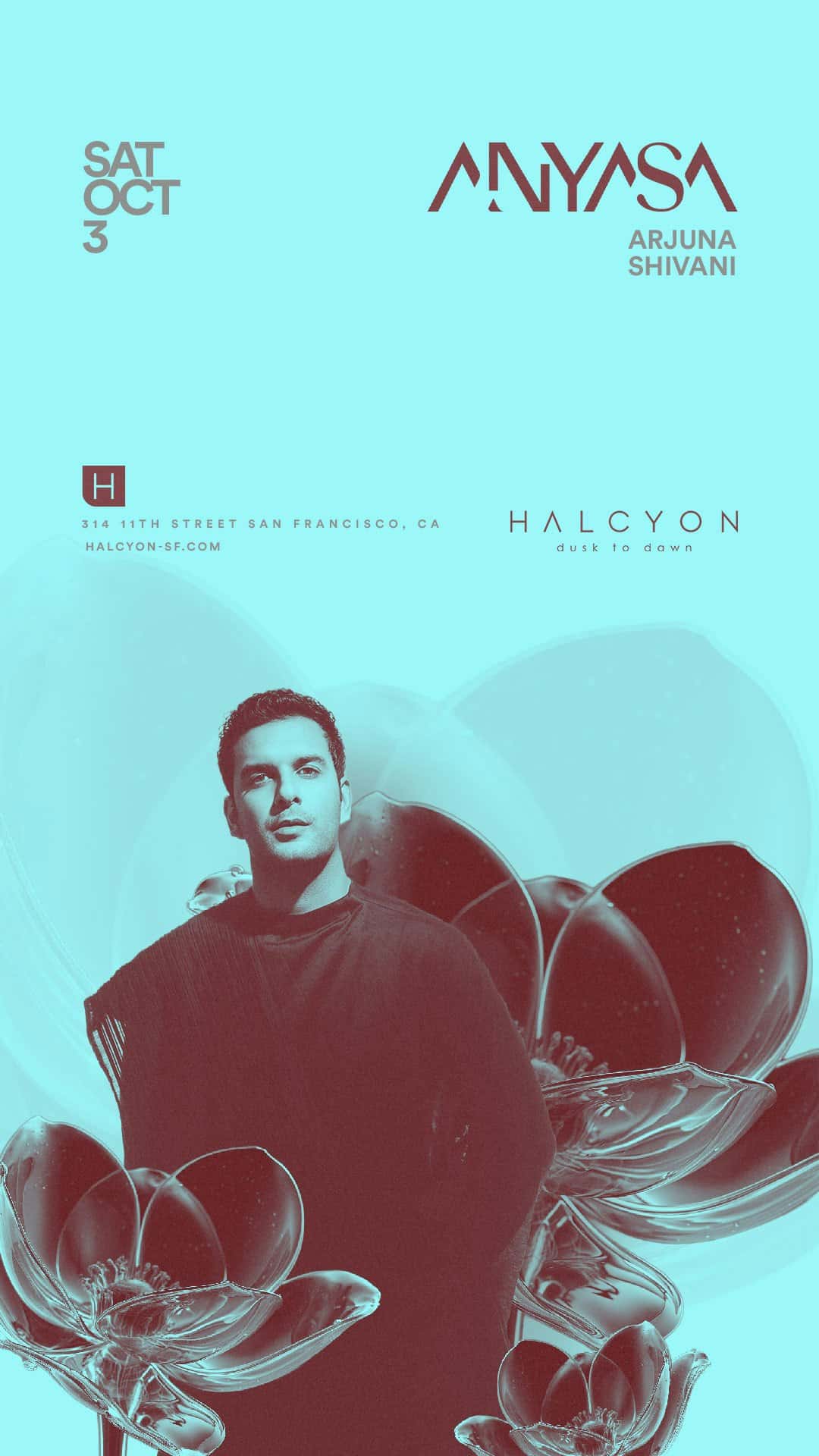 Flyer de ANYASA
