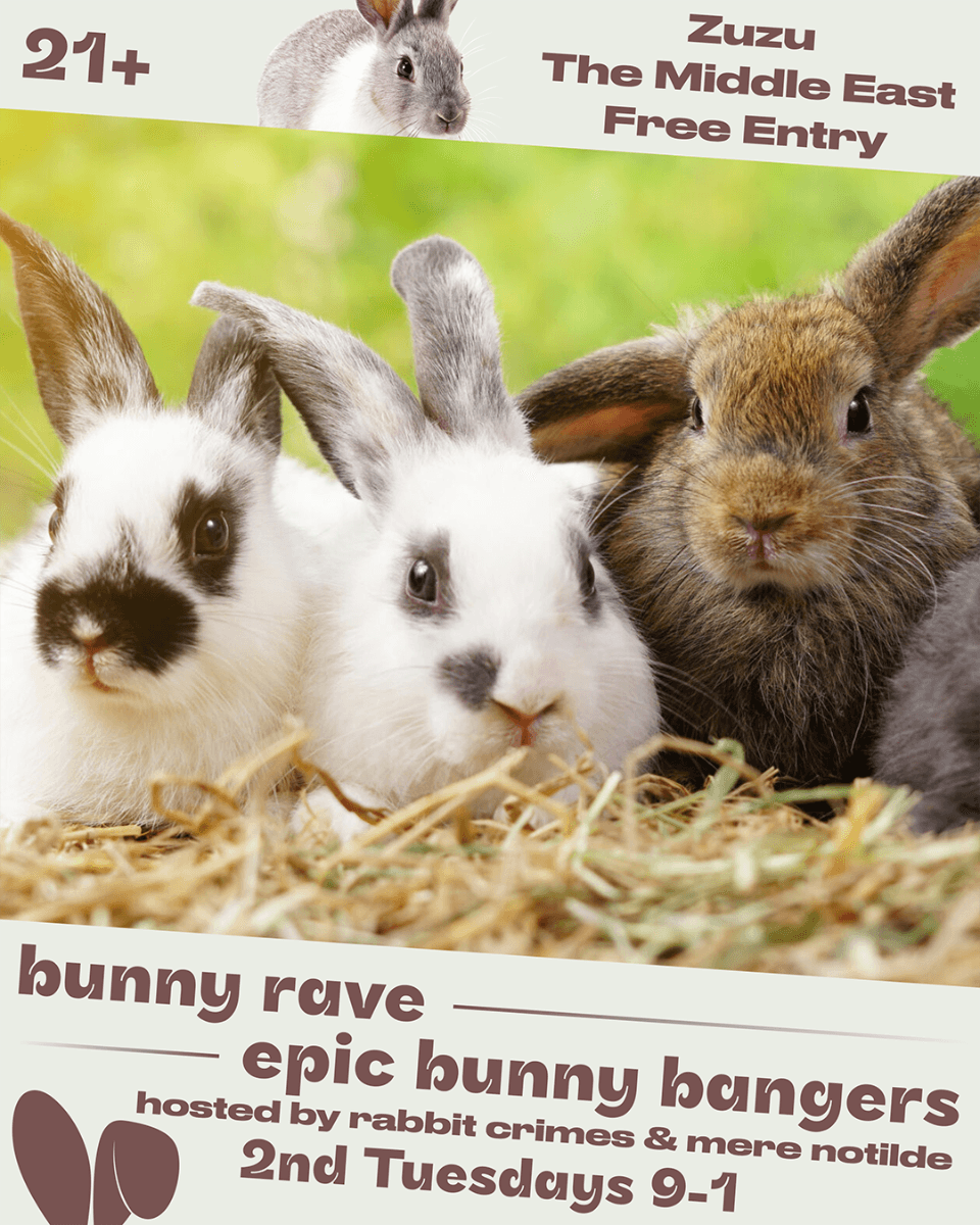Bunny Rave w/ Rabbit Crimes & Mere Notilde