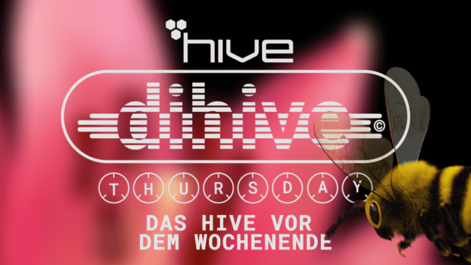 Flyer of dihive