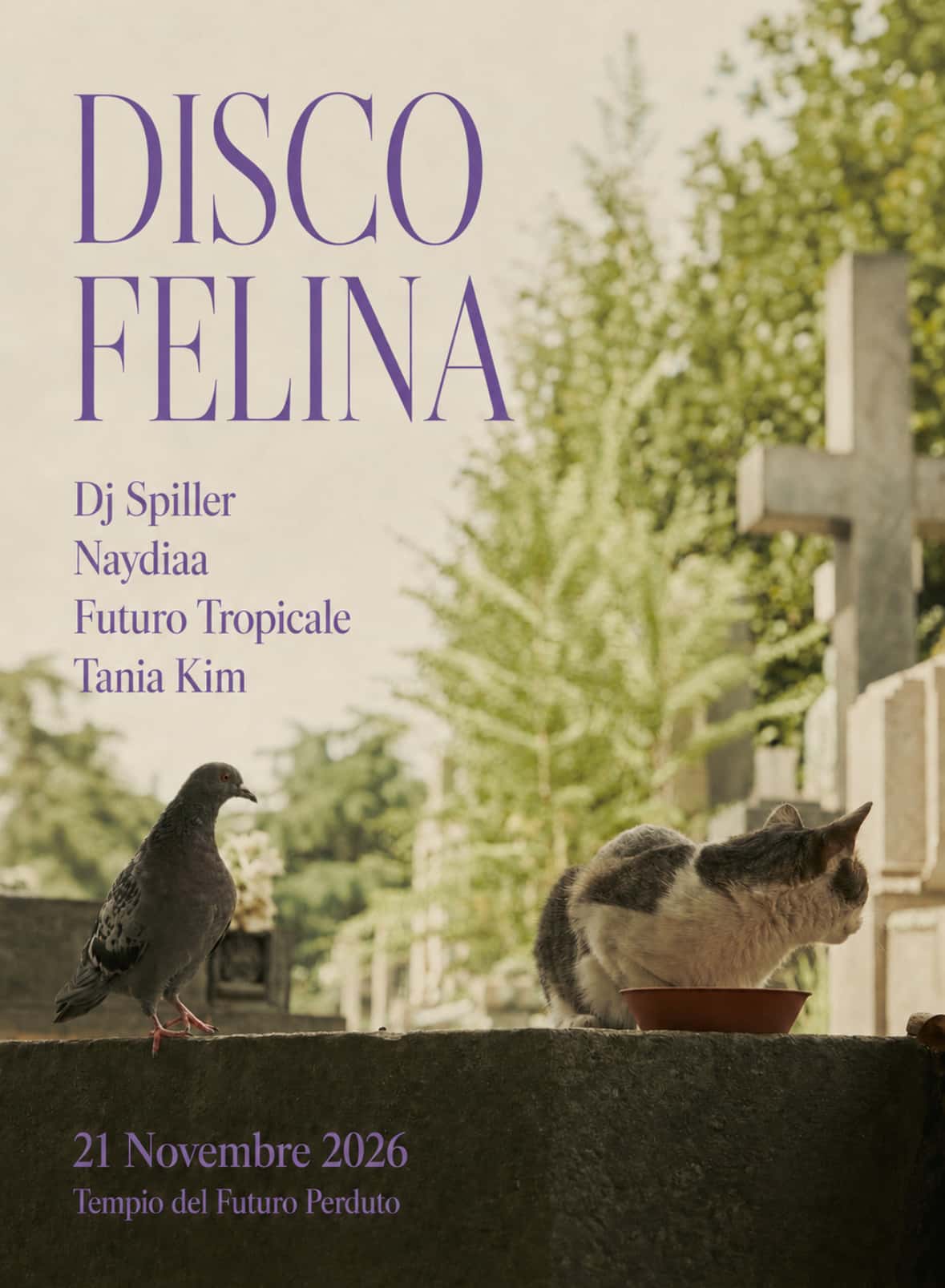 Flyer of DISCO FELINA: Dj Spiller, Futuro Tropicale, Naydiaa, Tania Kim