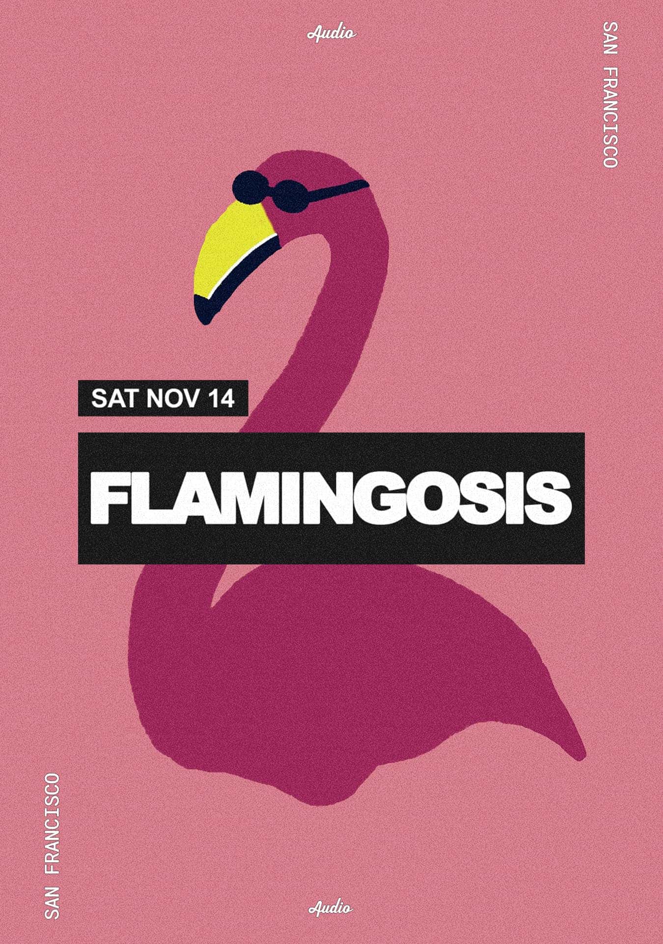 Cartel de Flamingosis