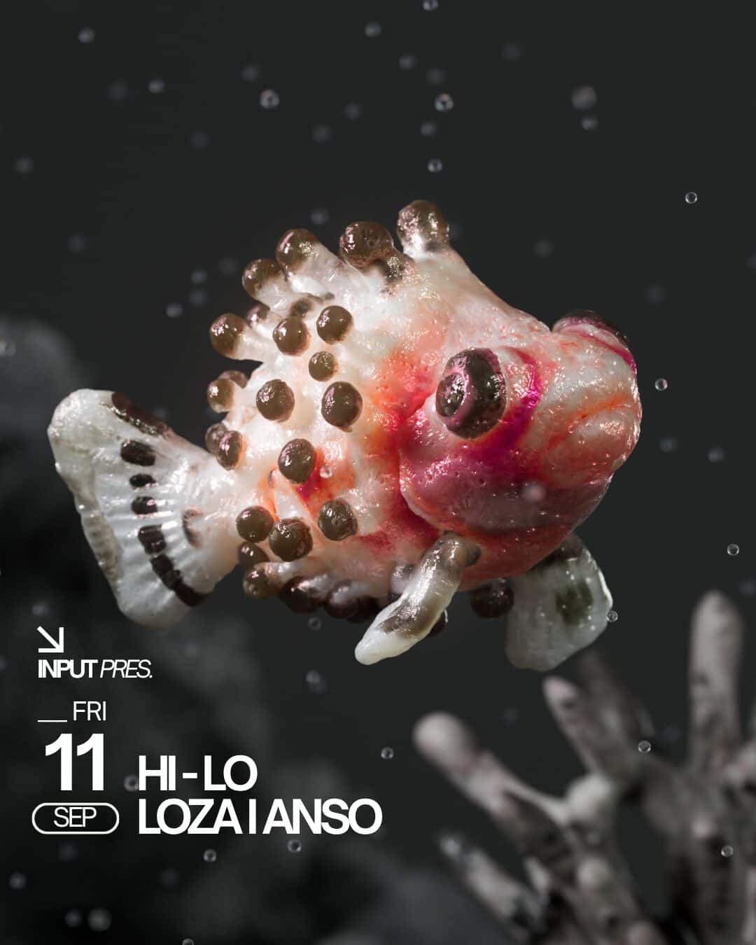 Cartel de INPUT pres. HI-LO