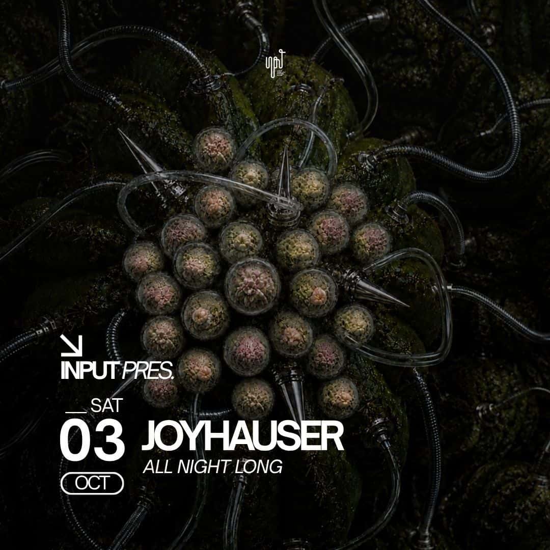Flyer de INPUT pres. JOYHAUSER All Night Long