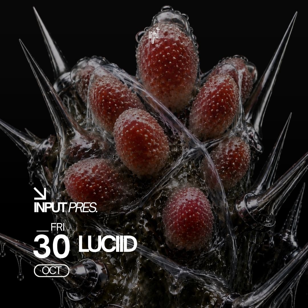 Cartel 1 de INPUT PRES. LUCIID