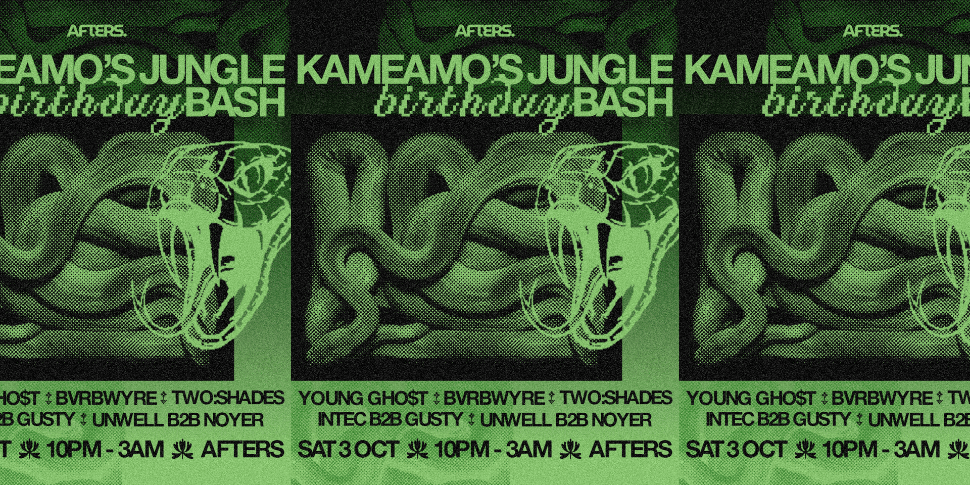 Kameano's Jungle Birthday Bash