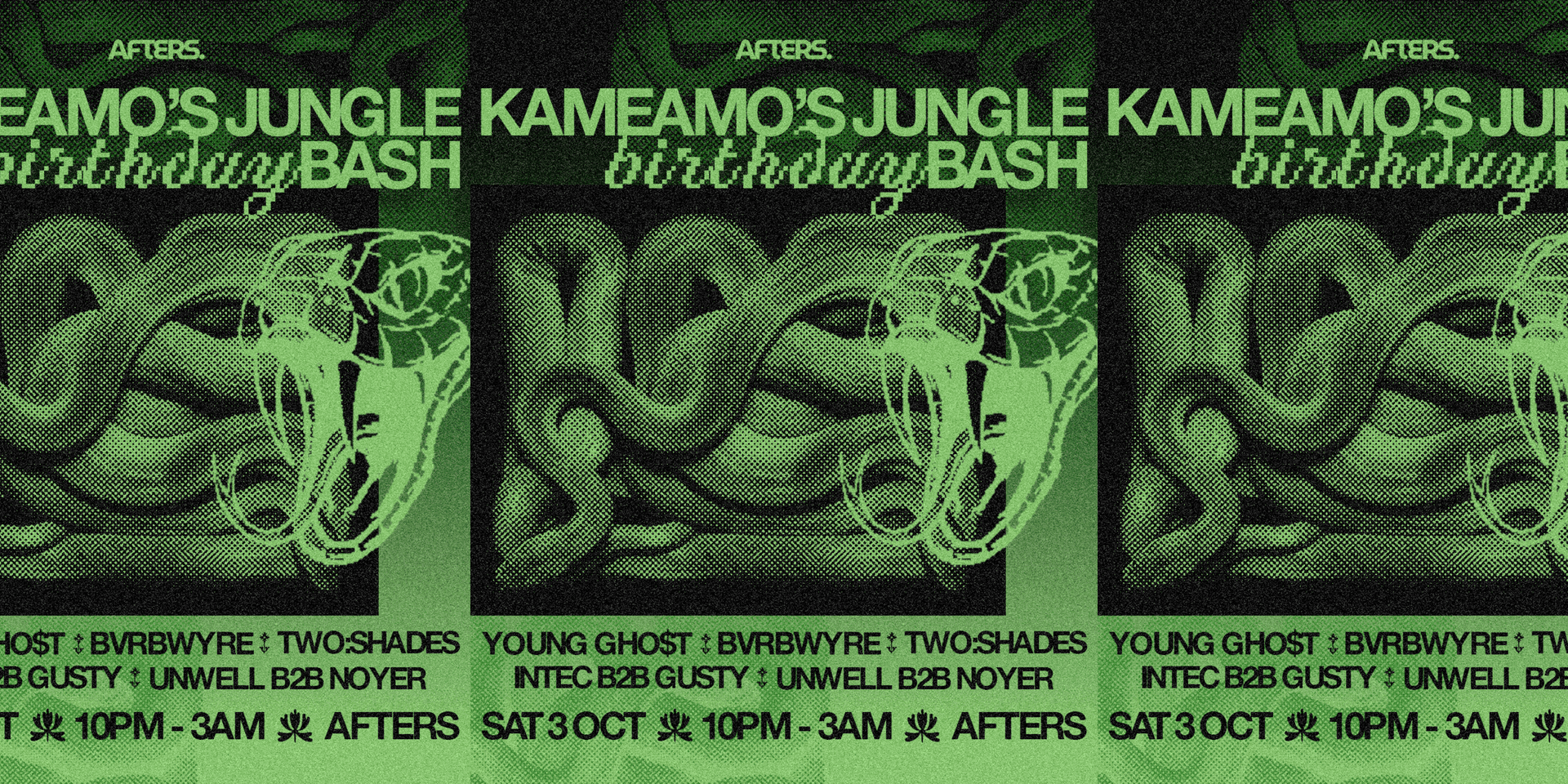 Kameano's Jungle Birthday Bash