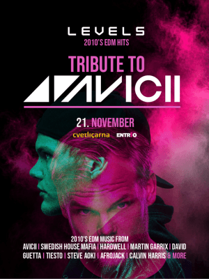 LEVELS - Tribute to AVICII (2010's EDM Classics)