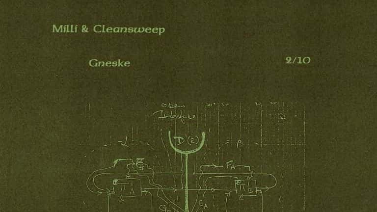 Flyer of Milli & Cleansweep / Gneske