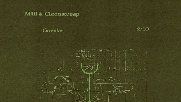 Milli & Cleansweep / Gneske