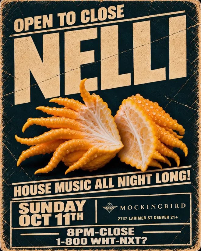 Nelli Open to Close