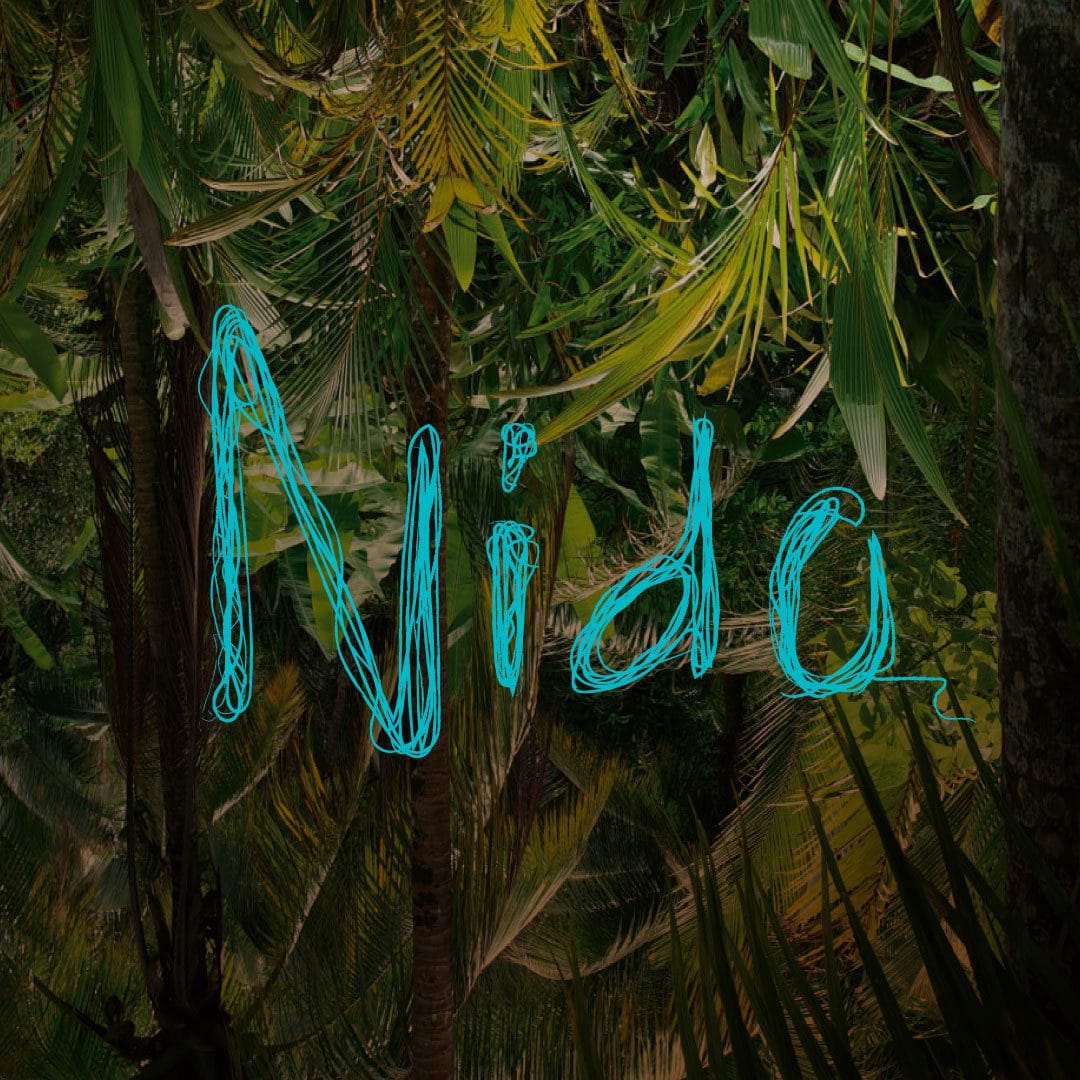 Nido
