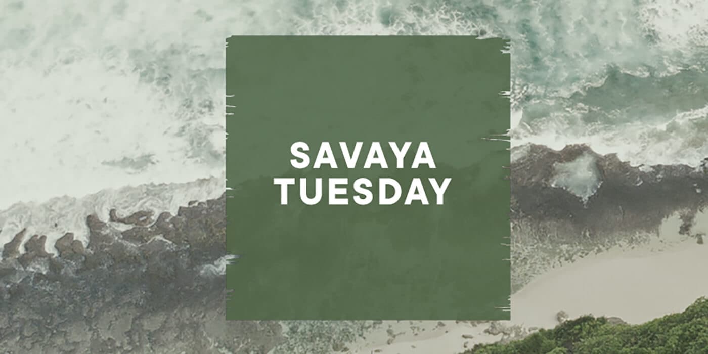 Savaya Tuesday