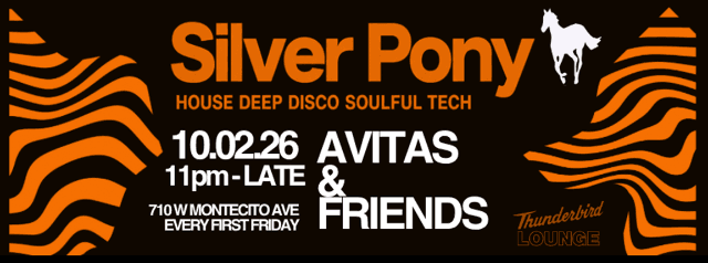 Silver Pony: House * Deep * Disco * Soulful * Tech