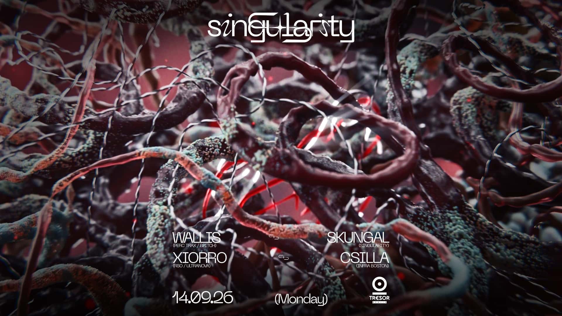 Flyer de Singularity