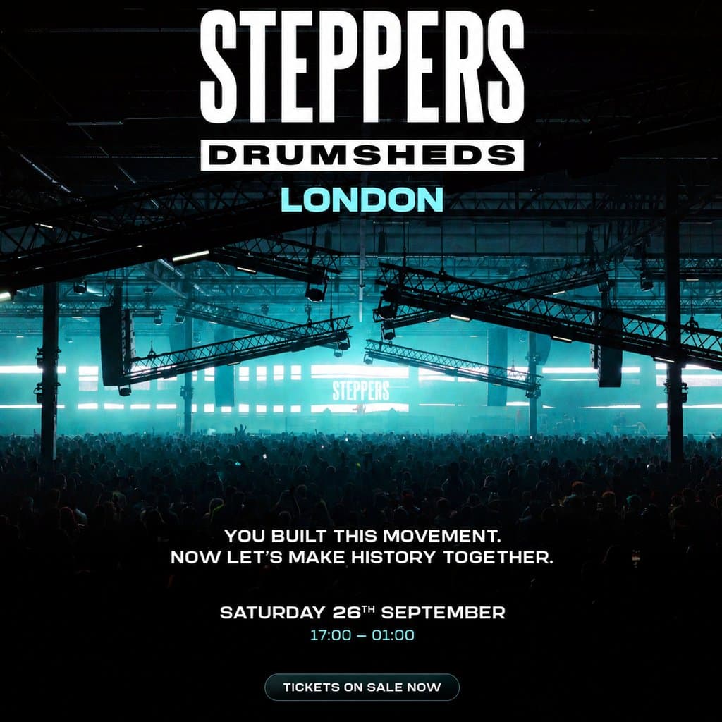 STEPPERS