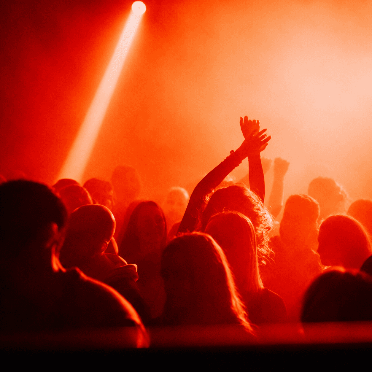 TEUF KULTURE TBA+