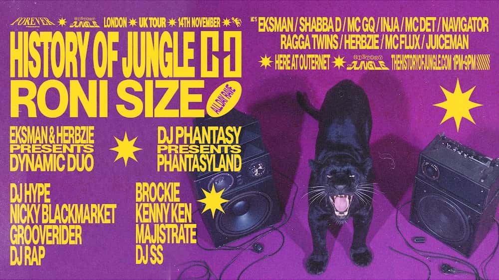 Flyer of The History of Jungle