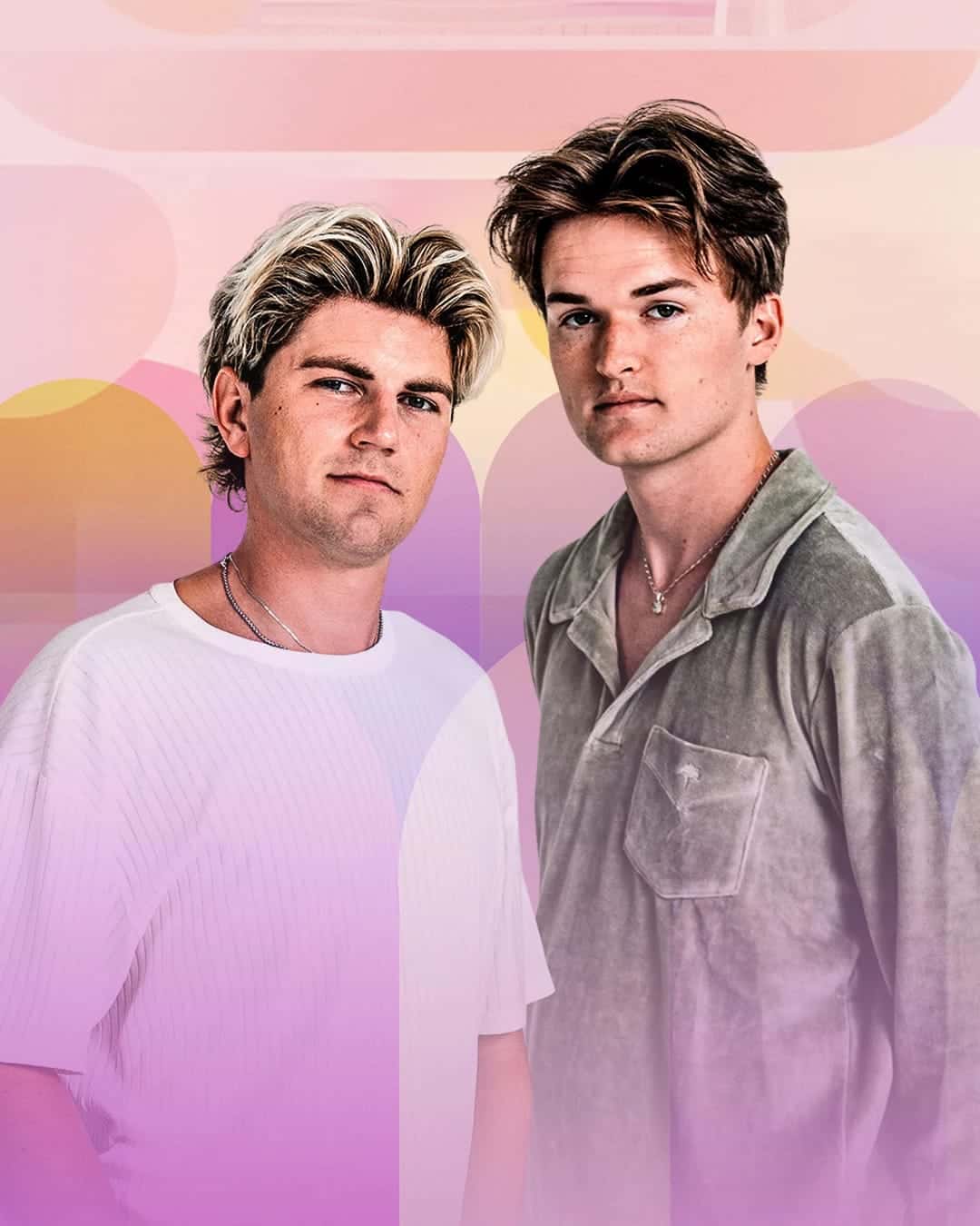 Flyer of TWINSICK