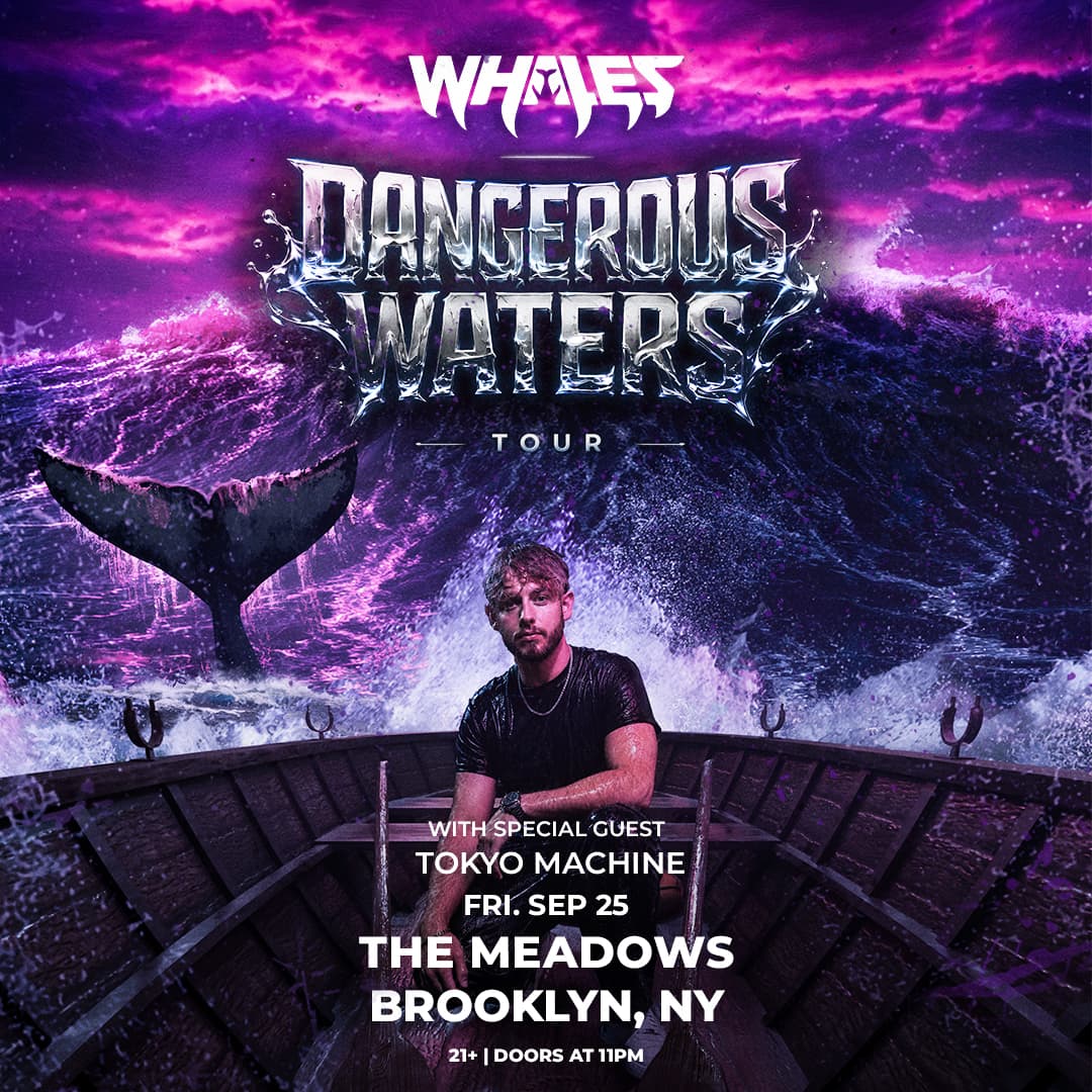Whales - DANGEROUS WATERS TOUR
