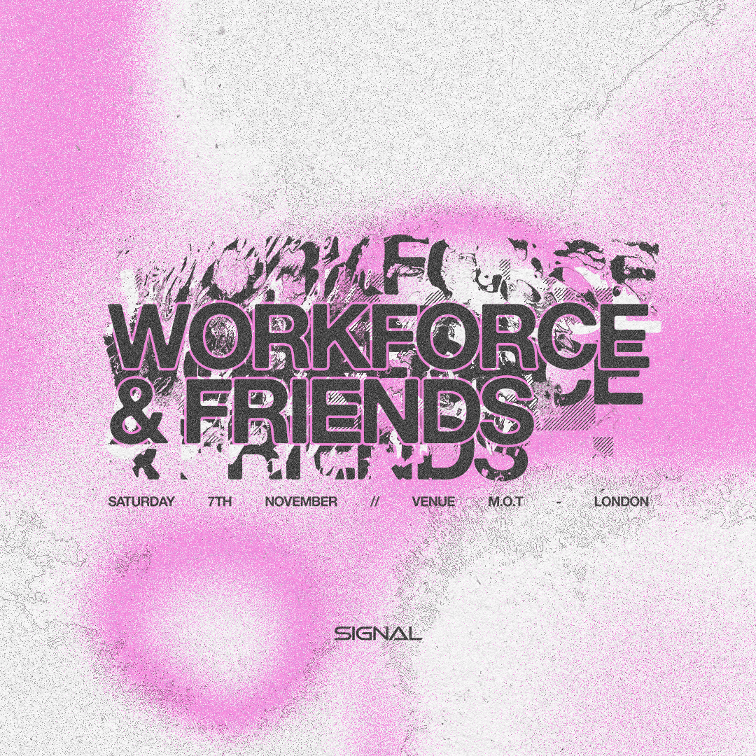 Perc, Ansome (live), Livid, SISSY MISFIT, Baba Ibra