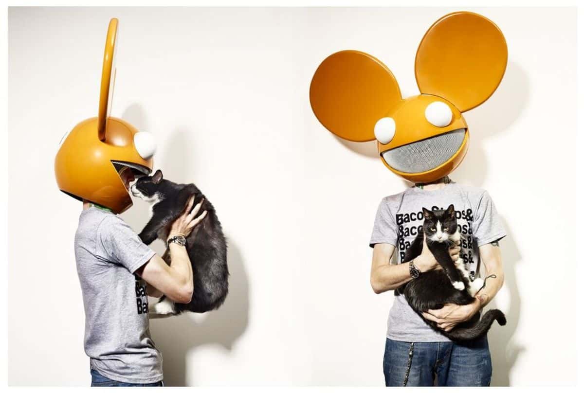 deadmau5 dona 30.000$ para salvar a 27 gatos rescatados