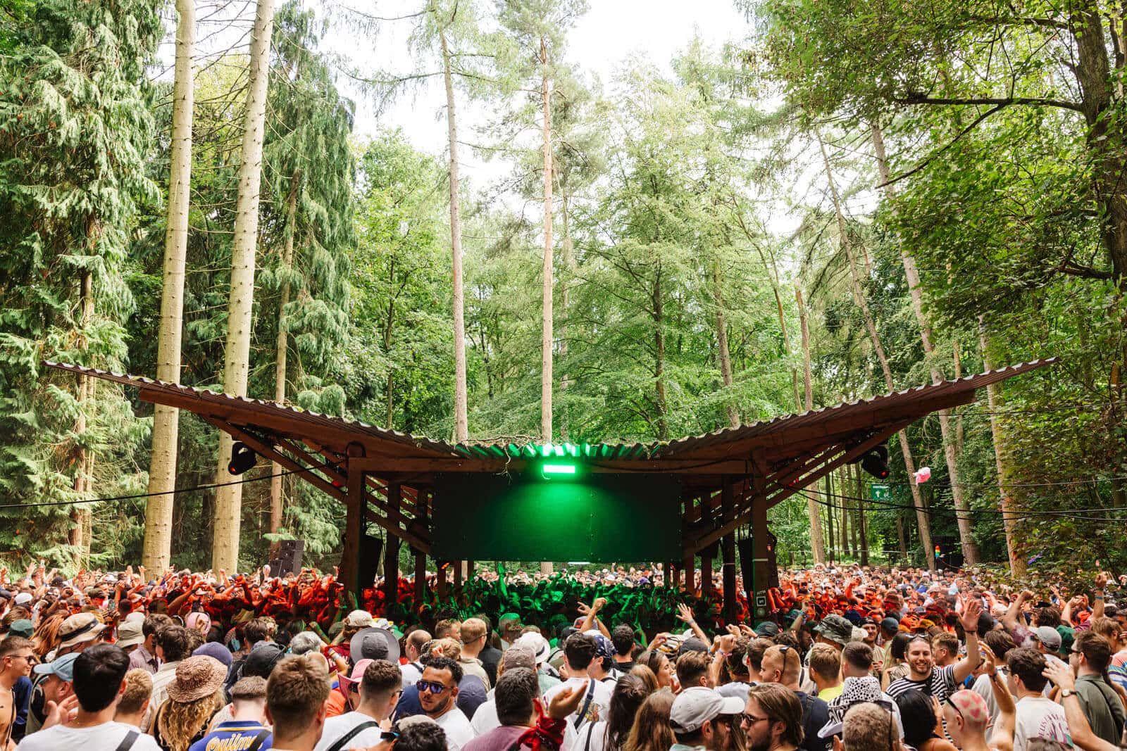 Houghton Festival 2026: Cartel Completo con 200 Artistas