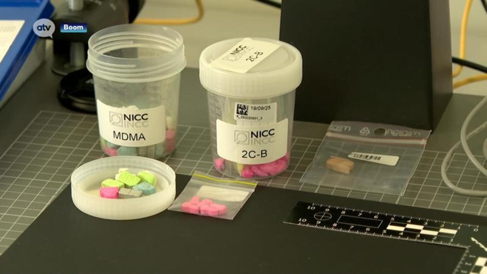 Tomorrowland 2026: Alert over adulterated drugs in Boom