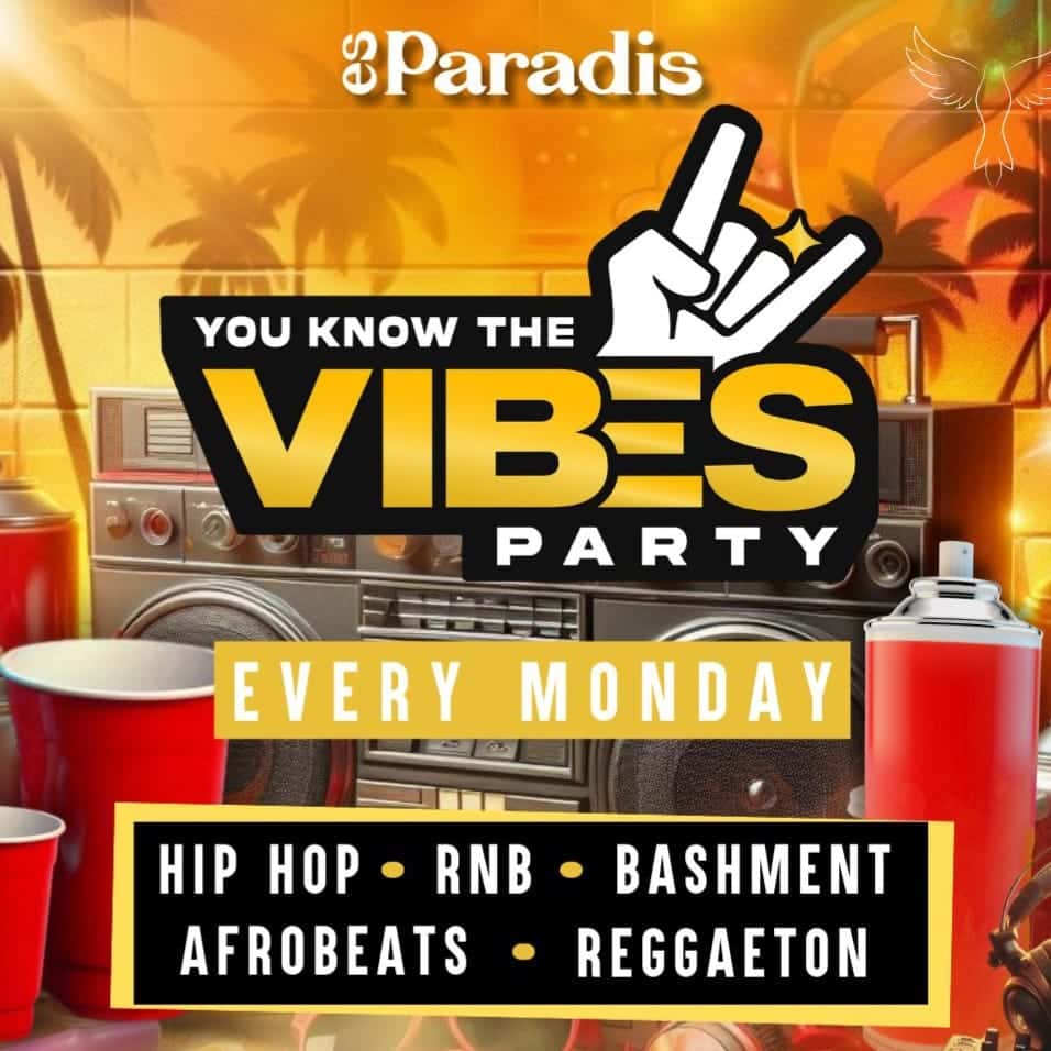 Cartel de You Know The Vibes Closing Party